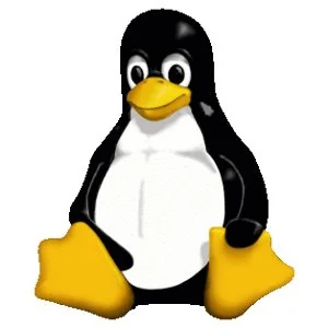 DRM伙伴&amp；AMDGPU在Linux6.10中实现清晰的页面跟踪-趣考网