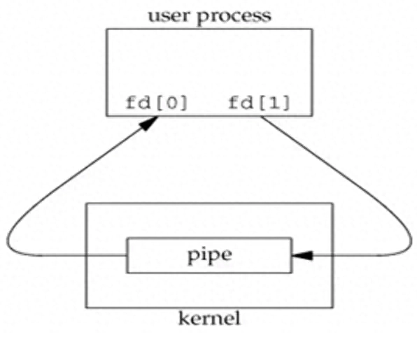 浅谈Linux中的xargs命令-趣考网