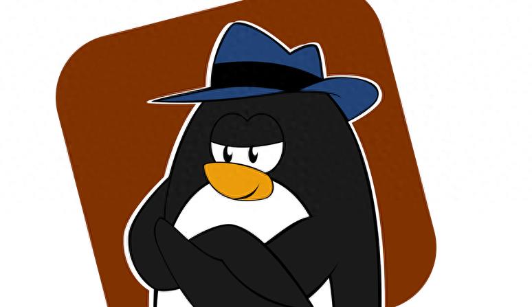 桌面Linux加固——安装、磁盘加密、隐私设置和应用限制-趣考网