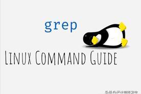 linux 常用的命令管道--grep-趣考网