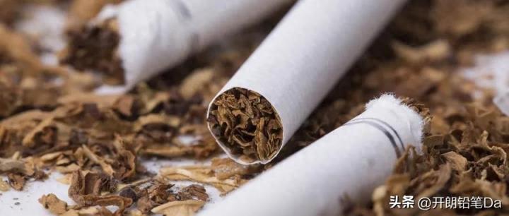 张雪峰说进烟草无视学校？烟草专业 2024 大学分数线权威汇总-趣考网
