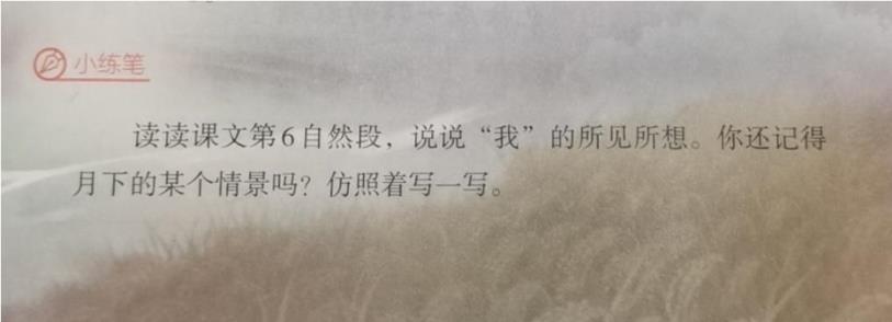 四年级小练笔：月下的某个情景…-趣考网